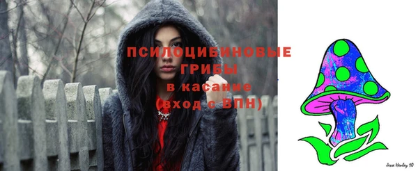 твердый Протвино