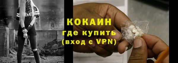 твердый Протвино