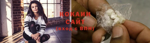 твердый Протвино