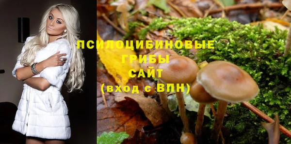 твердый Протвино