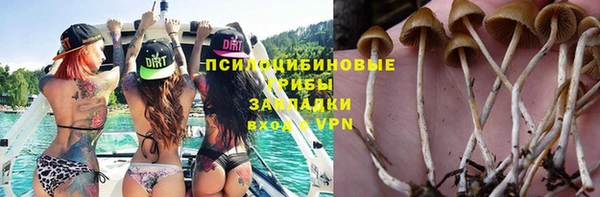 ПСИЛОЦИБИНОВЫЕ ГРИБЫ Пролетарск