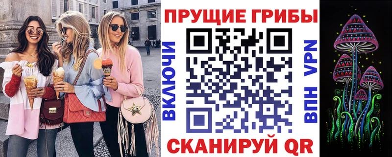 мега ССЫЛКА  Щёкино  Псилоцибиновые грибы Cubensis 