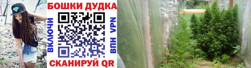 Бошки Шишки план kraken маркетплейс Щёкино